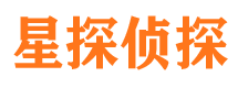 桃山市私家侦探公司